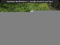 19022 photo
